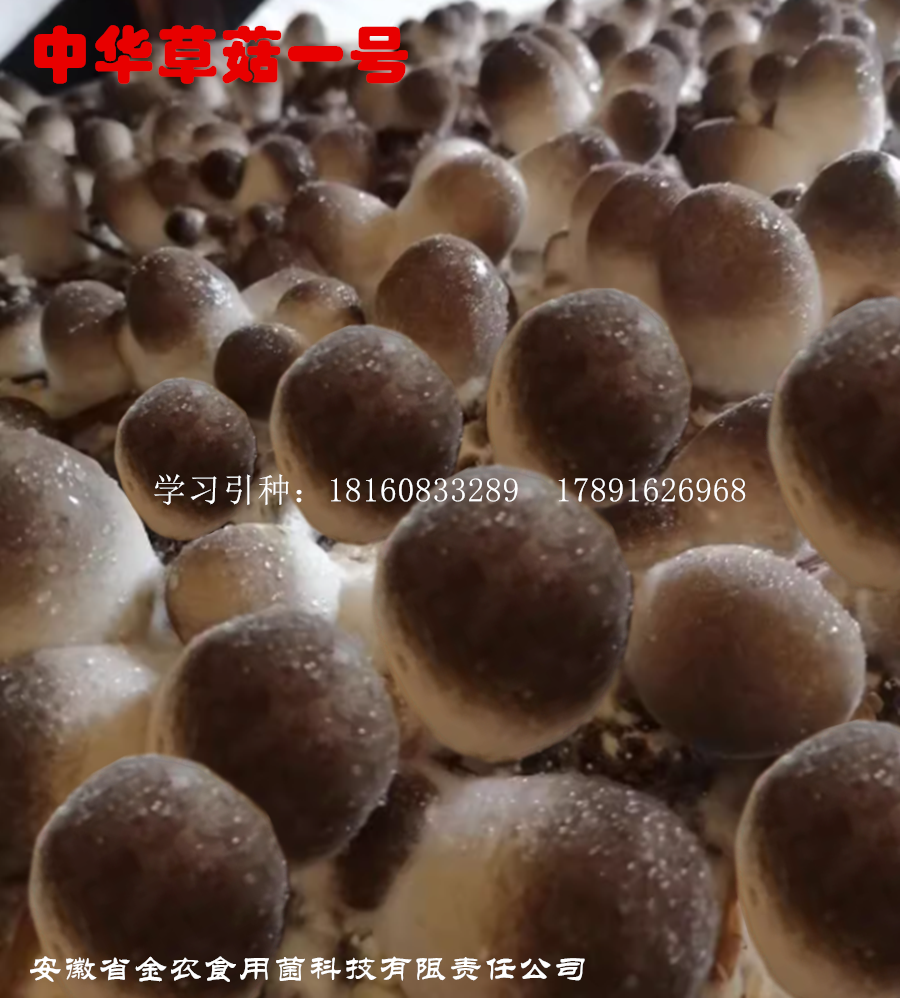 5_副本.png