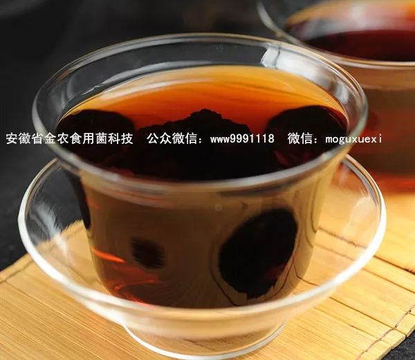 珍稀药用菌——白桦茸（桦褐孔菌）(图17)