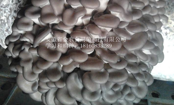 2-211126213G0b5.jpg