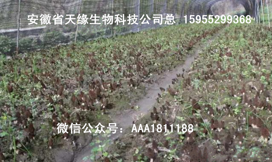 2-211224203S21K.bmp