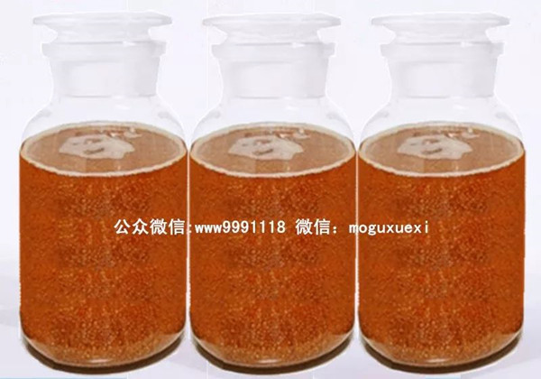 食用菌液体菌种简易制作实用新技术(图9)