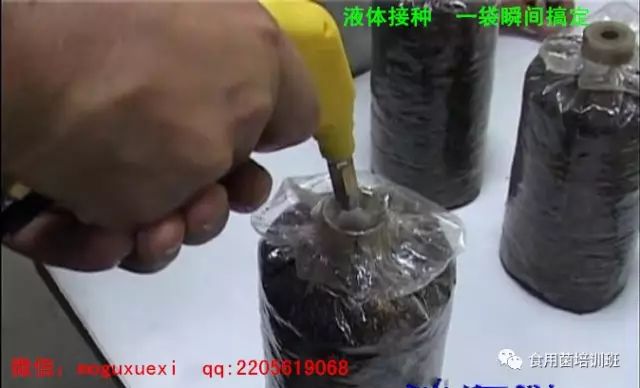 食用菌液体菌种简易制作实用新技术(图13)