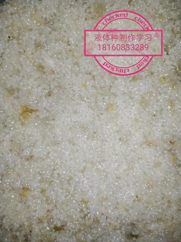 食用菌液体菌种简易制作实用新技术(图22)