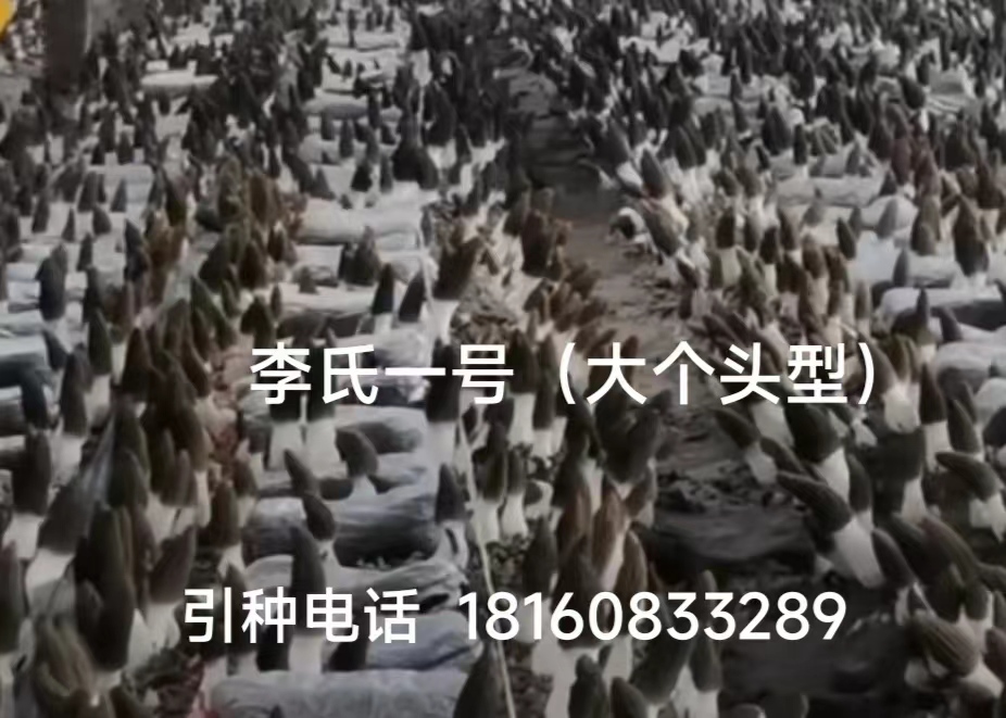 2-230621155425Q8.jpg